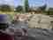 This image for Image Layouts addon